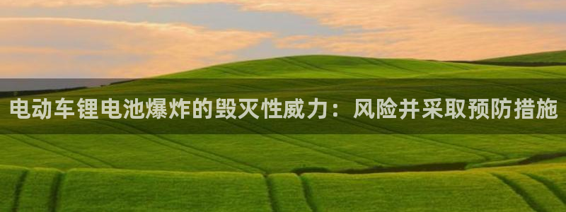 尊龙手机客户端app：电动车锂电池爆炸的