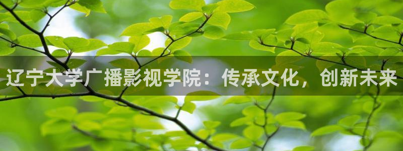苹果影院高清免费观看：辽宁大学广播影视学院：传承文化，创新未来