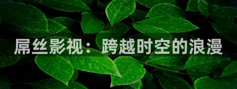 www.苹果影院：屌丝影视：跨越时空的浪漫
