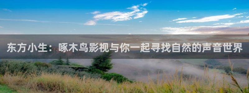 苹果影院在线看：东方小生：啄木鸟影视与你一起寻找自然的声音世界