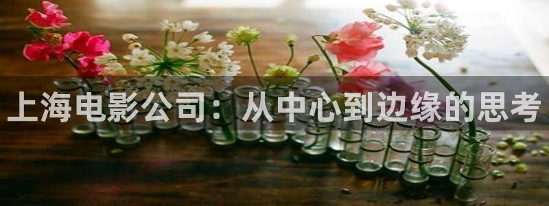 苹果电影完整版无删减：上海电影公司：从中心到边缘的思考