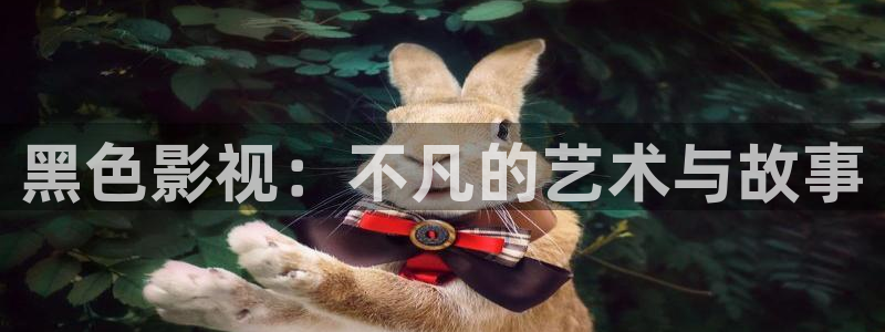 苹果影院在线观看：黑色影视：不凡的艺术与故事