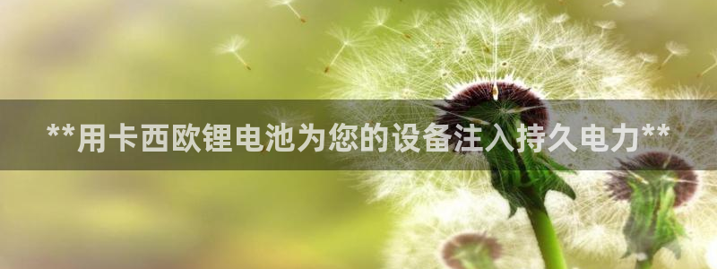 KB88凯时官网登录