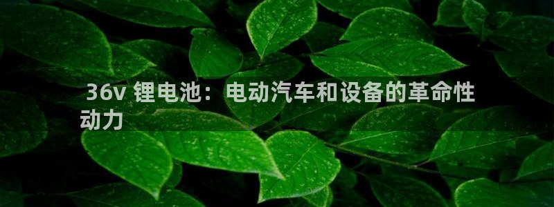 尊龙凯时注册地址