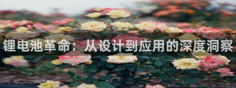 AG尊龙注册在线游戏