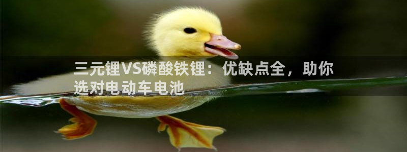 尊龙新版人生就是博!：三元锂VS磷酸铁锂：优缺点全，助你
选对电动车电池
