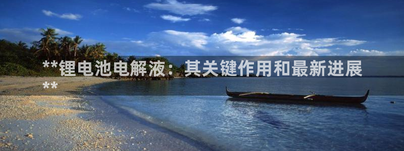 尊龙实业有限公司：**锂电池电解液：其关键作用和最新进展
**