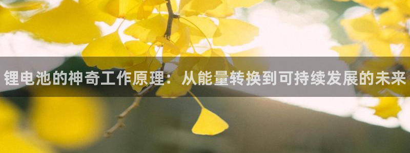 尊龙凯时有假么