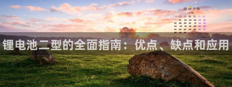 凯时网上官方网站：锂电池二型的全面指南：优点、缺点和应用