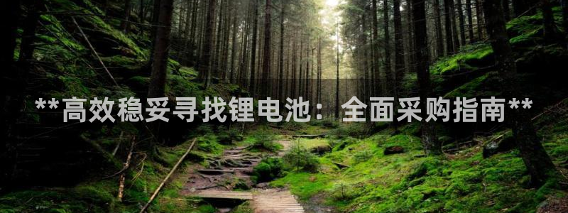 尊龙ag旗舰官网：**高效稳妥寻找锂电池：全面采购指南**