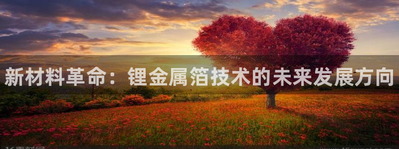 尊龙官方网站是真的吗