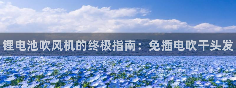 尊龙凯时 - 人生就是搏手机登录：锂电池