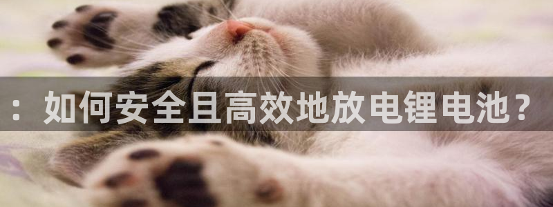 尊龙凯时官方网站