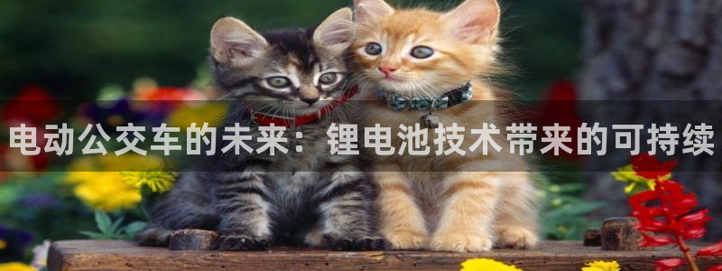 凯时官网的售后服务：电动公交车的未来：锂