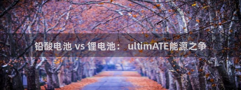 尊龙公司：铅酸电池 vs 锂电池： ul
